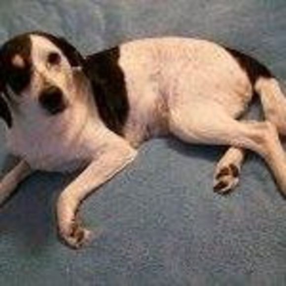 Meet your Posher, Dana - Picture 1 of 1